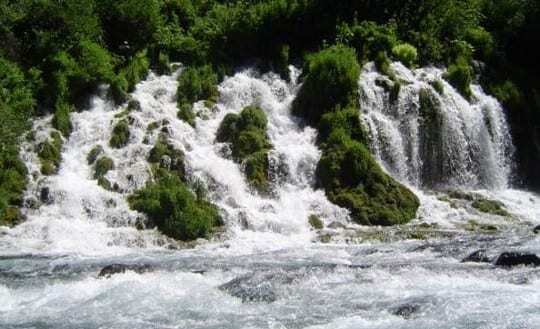 The Upper McCloud River's Big Springs The Upper McCloud River's Big Springs
