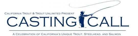 Casting Call logo
