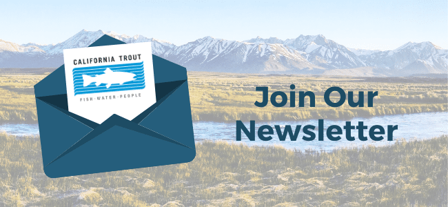 Sign up for our newsletter(1) Sign up for our newsletter(1)