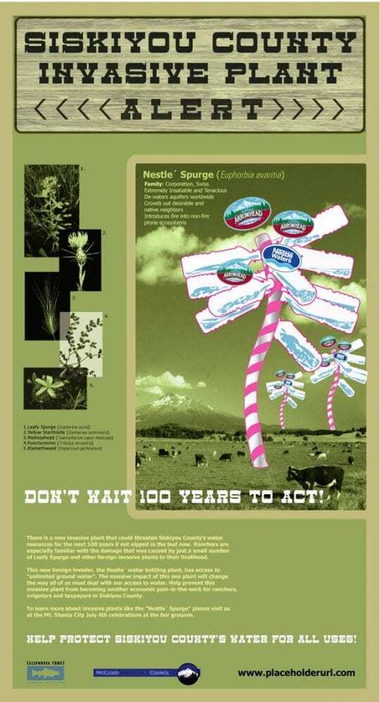 Nestle Invasive Plant image Nestle Invasive Plant image