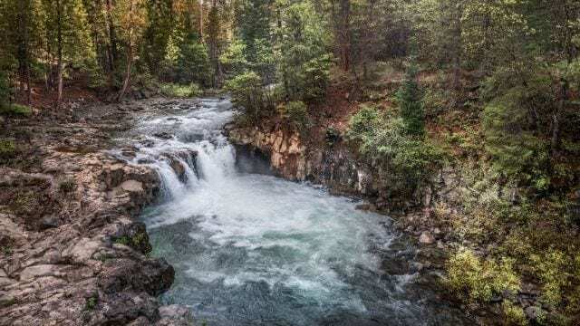 mtwh-nestle-lower-mccloud-falls-phil-reedy mtwh-nestle-lower-mccloud-falls-phil-reedy