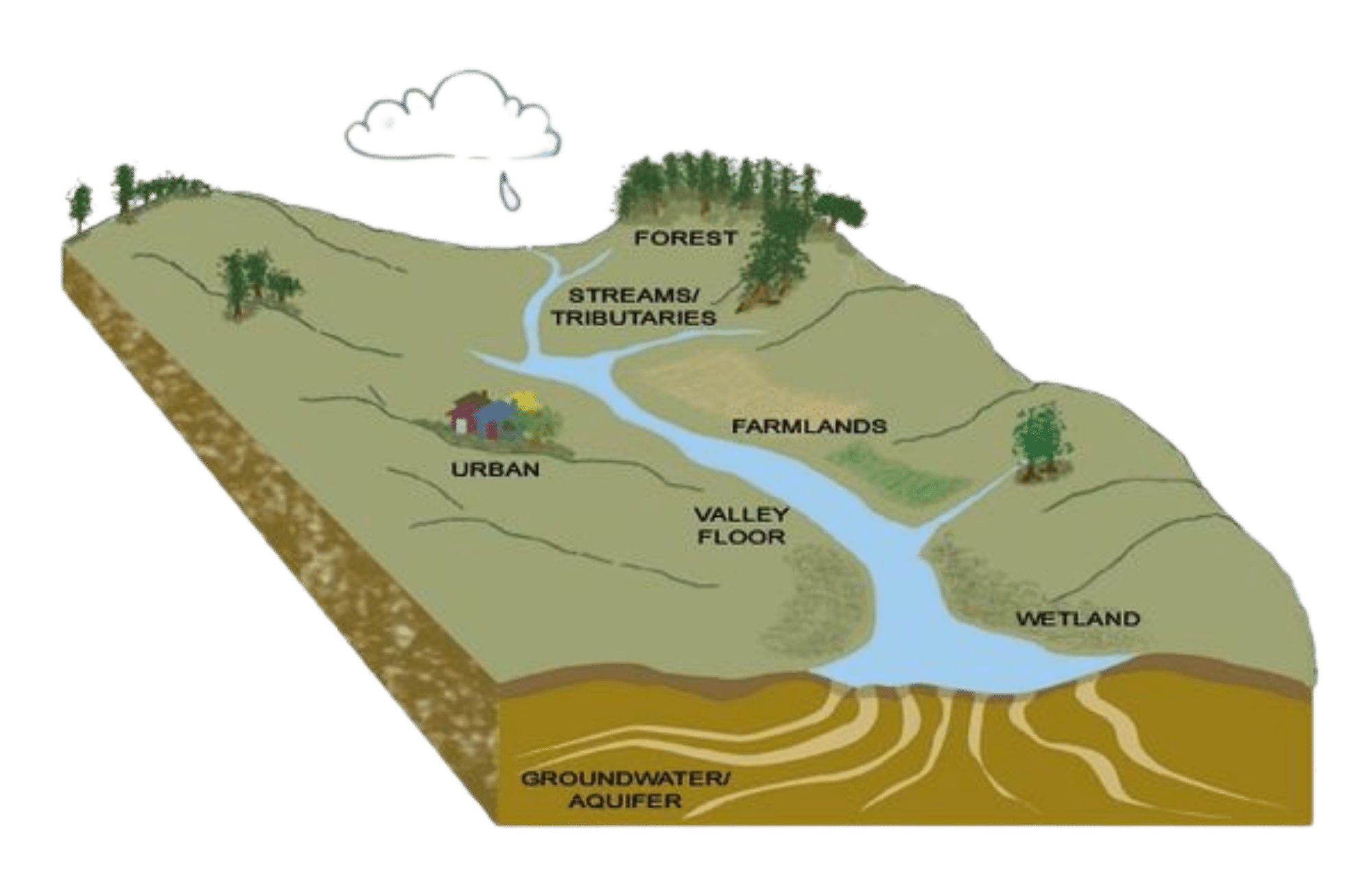watershed diagram no background 3 watershed diagram no background 3