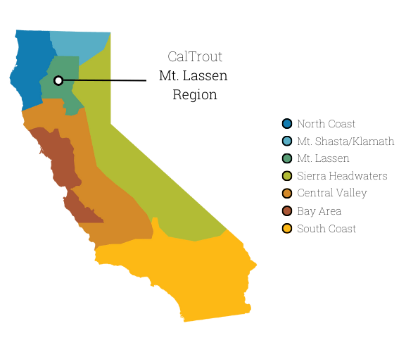 Region Map with Labels