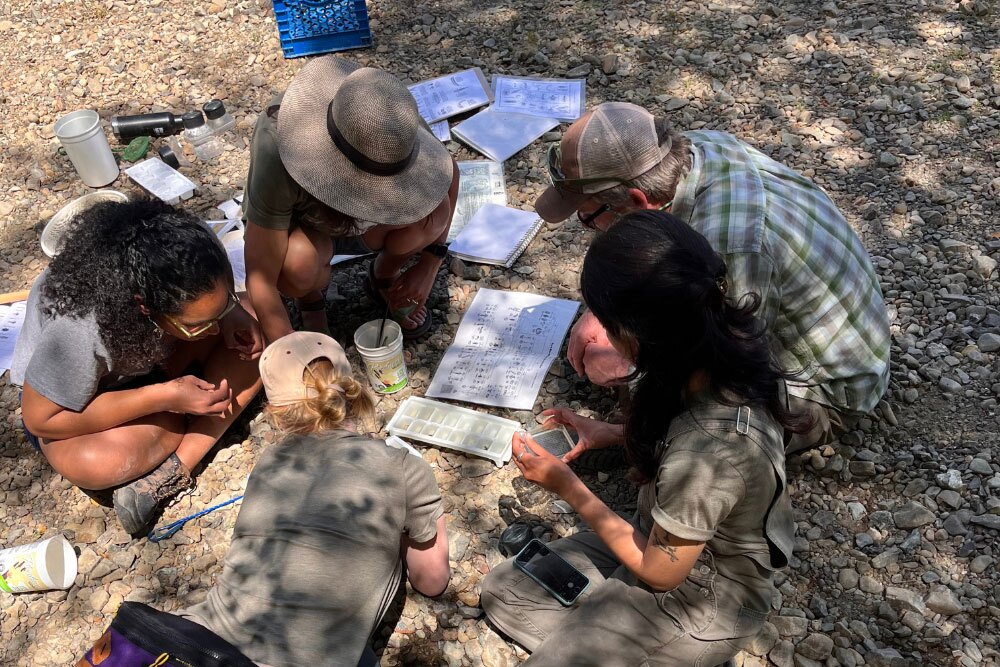 naturalists3 naturalists3