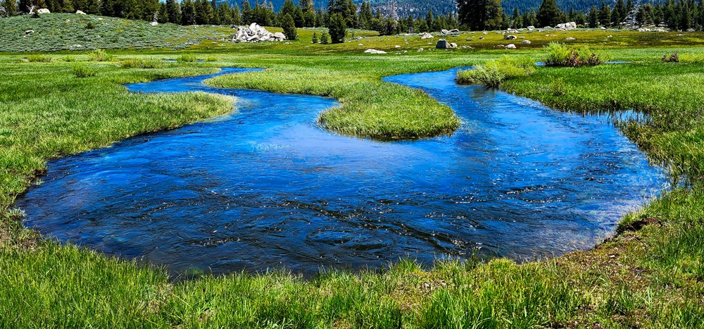 129_Meandering-in-the-Meadow 129_Meandering-in-the-Meadow