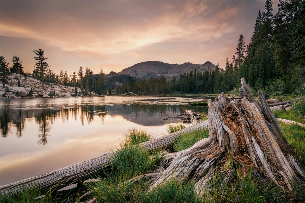 "Magic Hour" by Owen Turner "Magic Hour" by Owen Turner