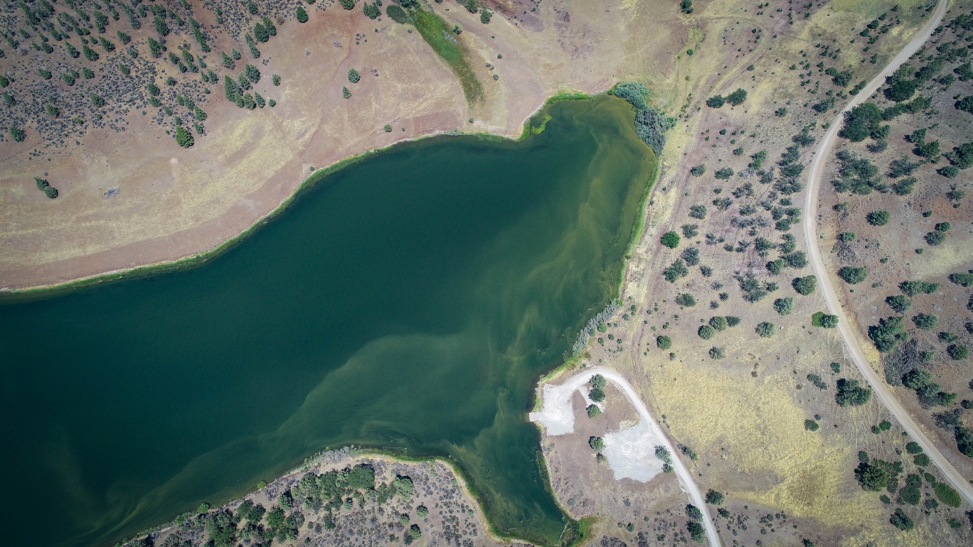 Klamath_green4 A green reservoir