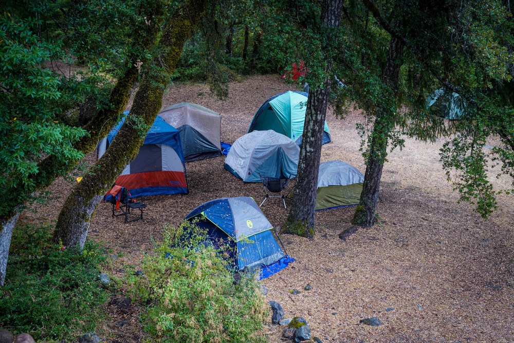 Retreat8 Tents under trees