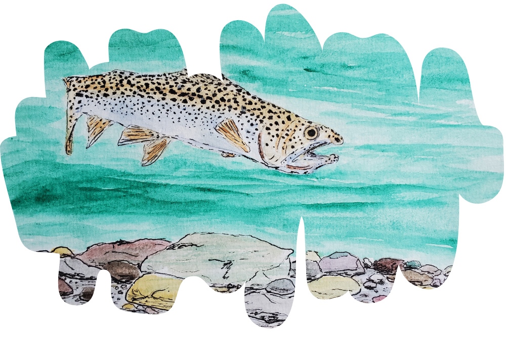 Tyanna-artwork3 Art of a fish