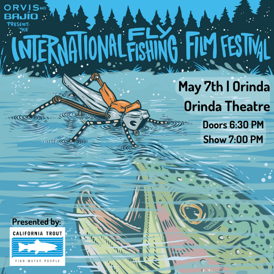 Orinda Theatre (Orinda)