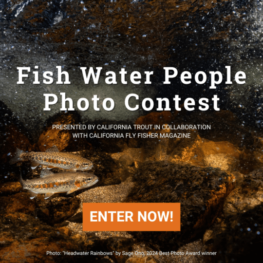web pop up FWP Photo Contest