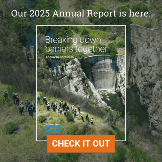 Pop up Square Centered
