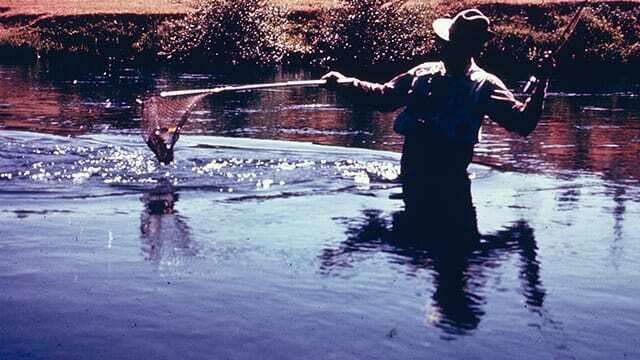 mtwh-hat-creek-net mtwh-hat-creek-net