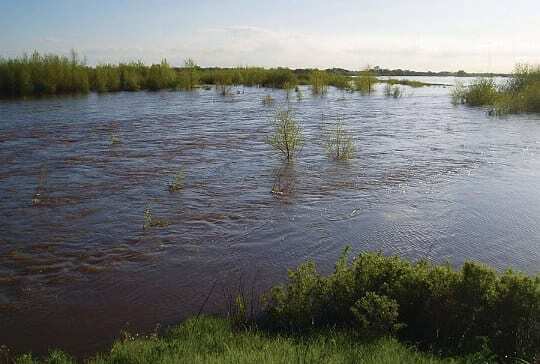 California floodplains critical to salmon? (photo Carson Jeffres)