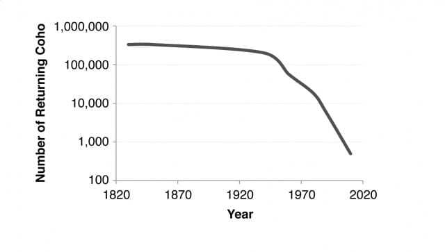 California Coho salmon populations