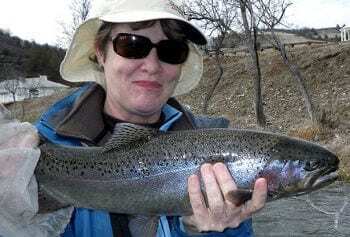 Klamath River steelhead