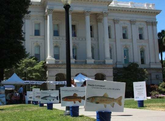 The Casting Call was held on the state capitol grounds