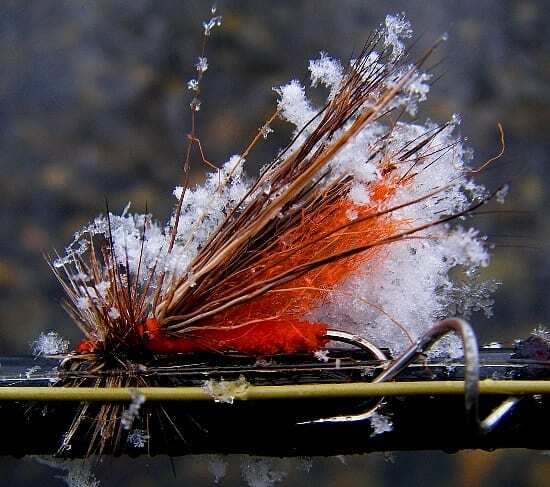 Holiday Caddis