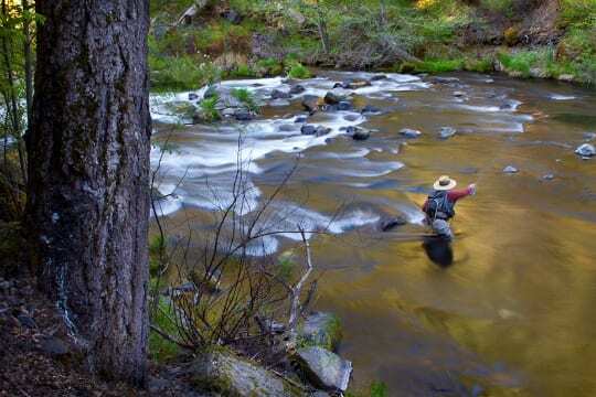 The McCloud River