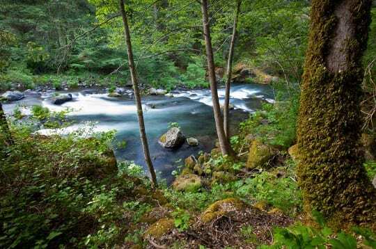 McCloud River