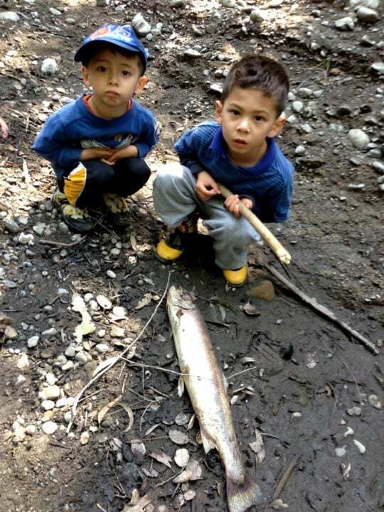 San Francisquito Creek