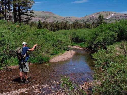 Upper-Truckee-River-Wild-and-Scenic