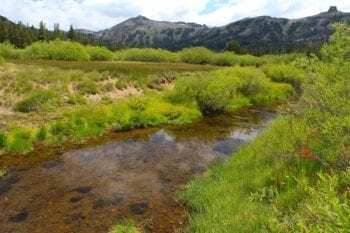 Kirkwood Meadow 2