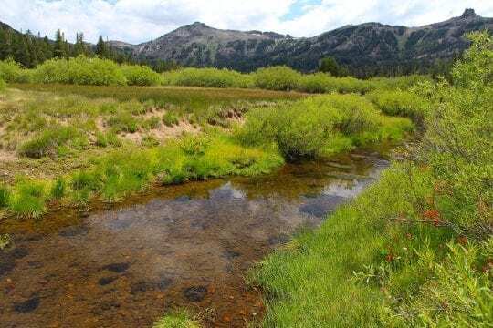 Kirkwood meadow in the Sierra Nevada