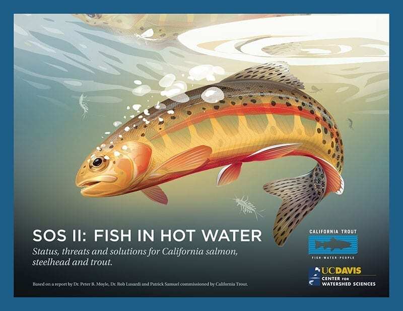 SOS II: Fish in Hot Water