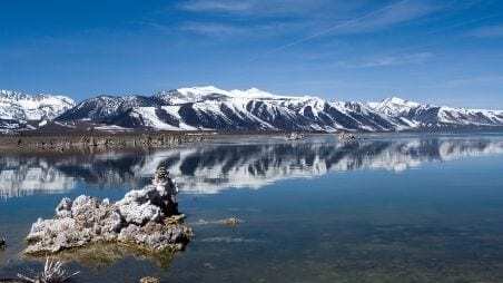 CalTrout I Saves Mono Lake Tributaries