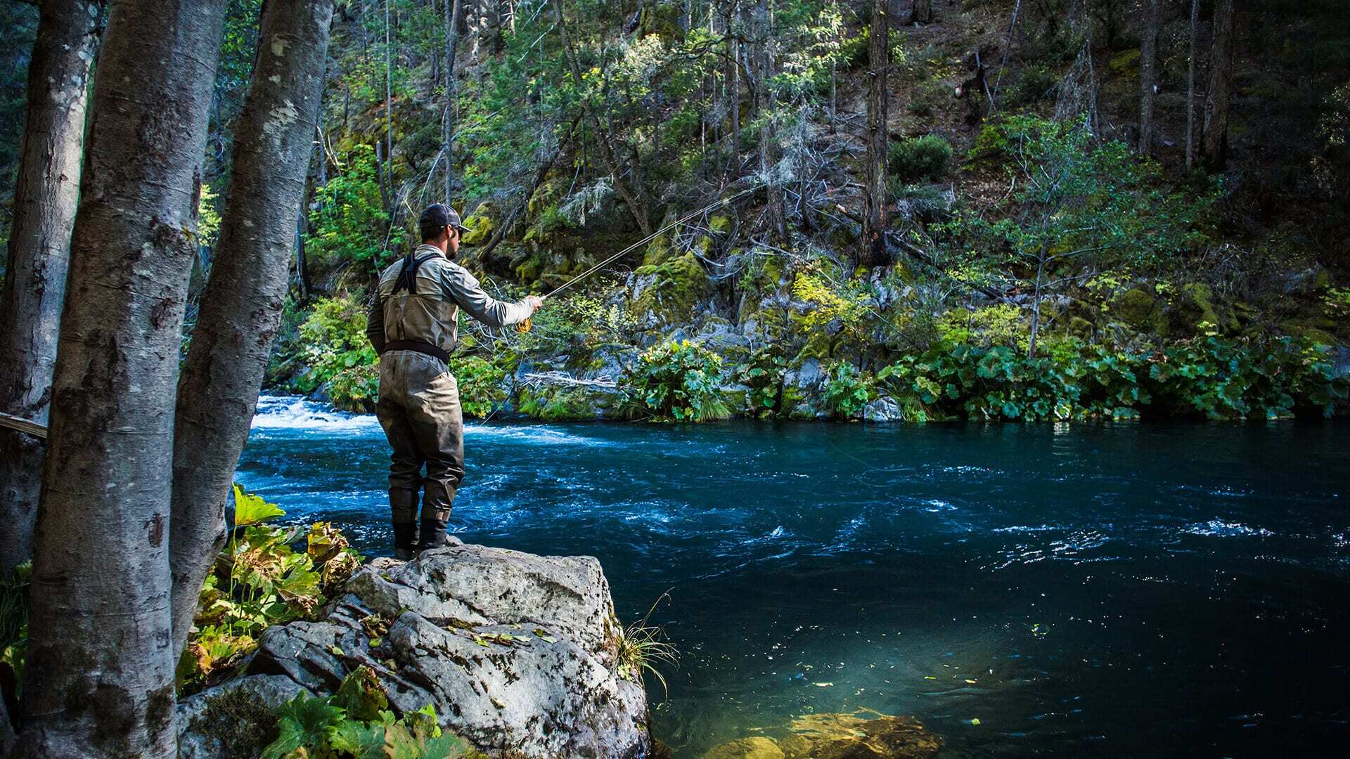 McCloud River