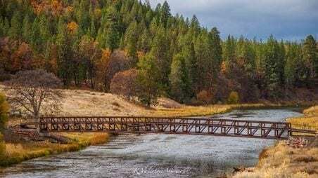 A Bridge Over Restored Waters