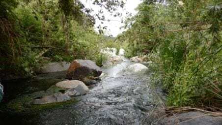 Restoring Full Watershed Access for Southern Steelhead