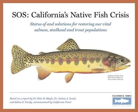 SOS: California's Native Fish Crisis