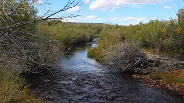 mtwh-mono-lake-rush-creek