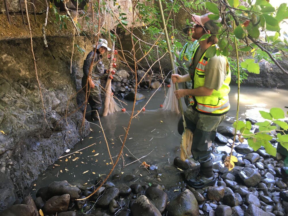 Cedar-Creek-dam-removal