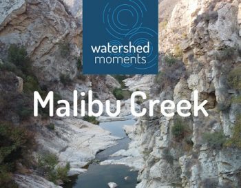 MalibuCreek_smaller