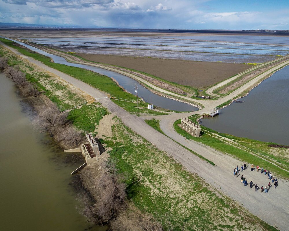 Rice-Field-Flooded