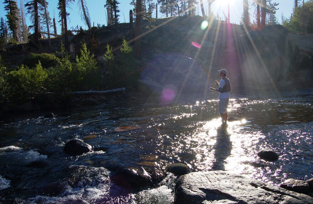 "Morning on the San Joaquin" by Jody Martin