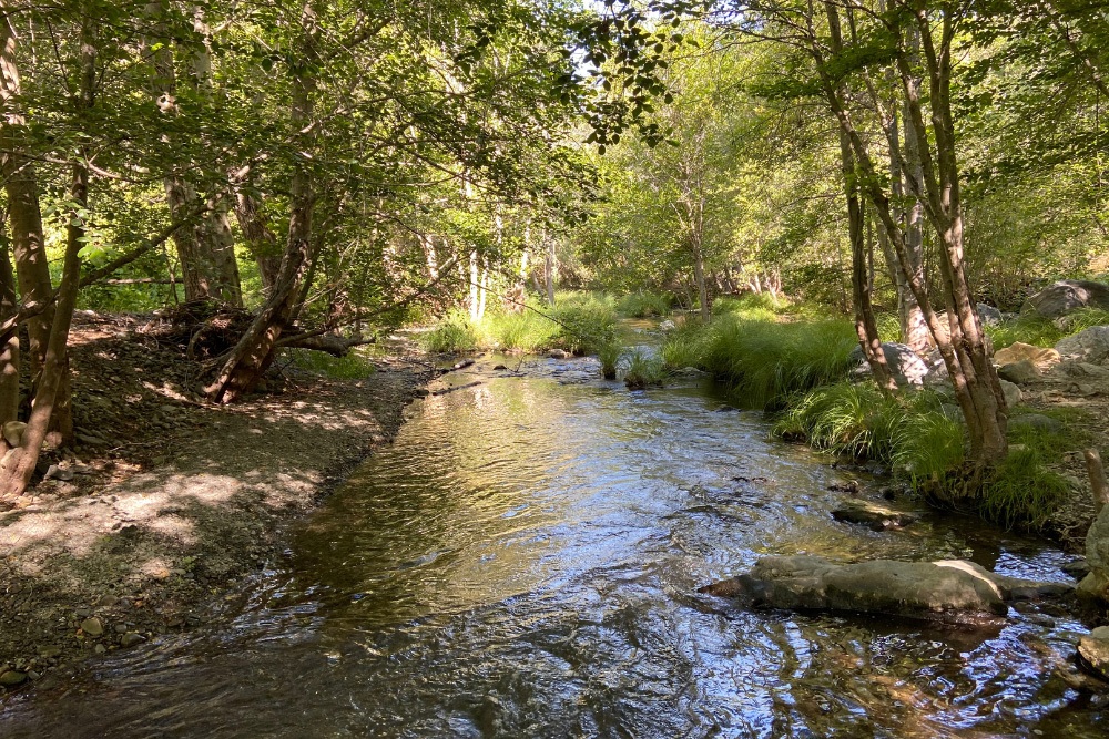 Alameda Creek