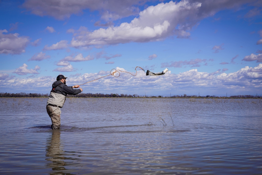 Scientist throws a net into the floodplain.