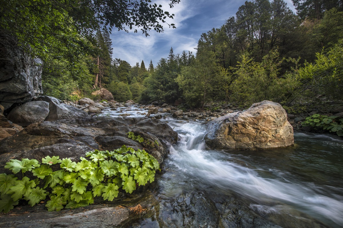 North Fork of the Yuba River, Sierra City CA