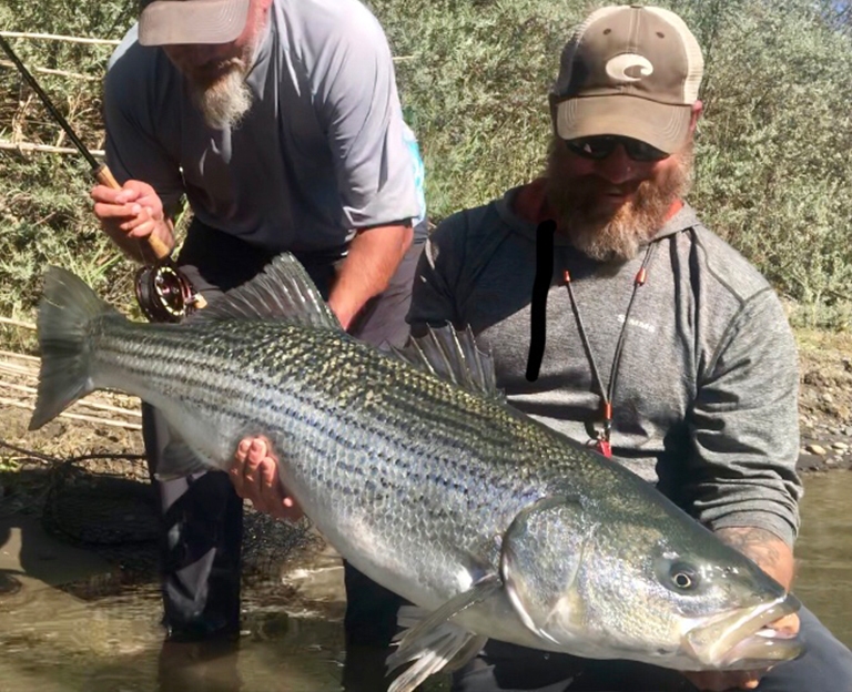 Chuck Ragan Fly Fishing