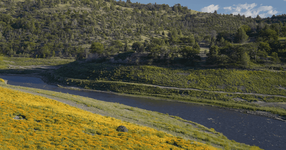 Blog Post Featured Photo (1)