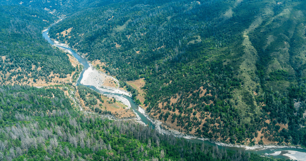 Blog Post Featured Photo