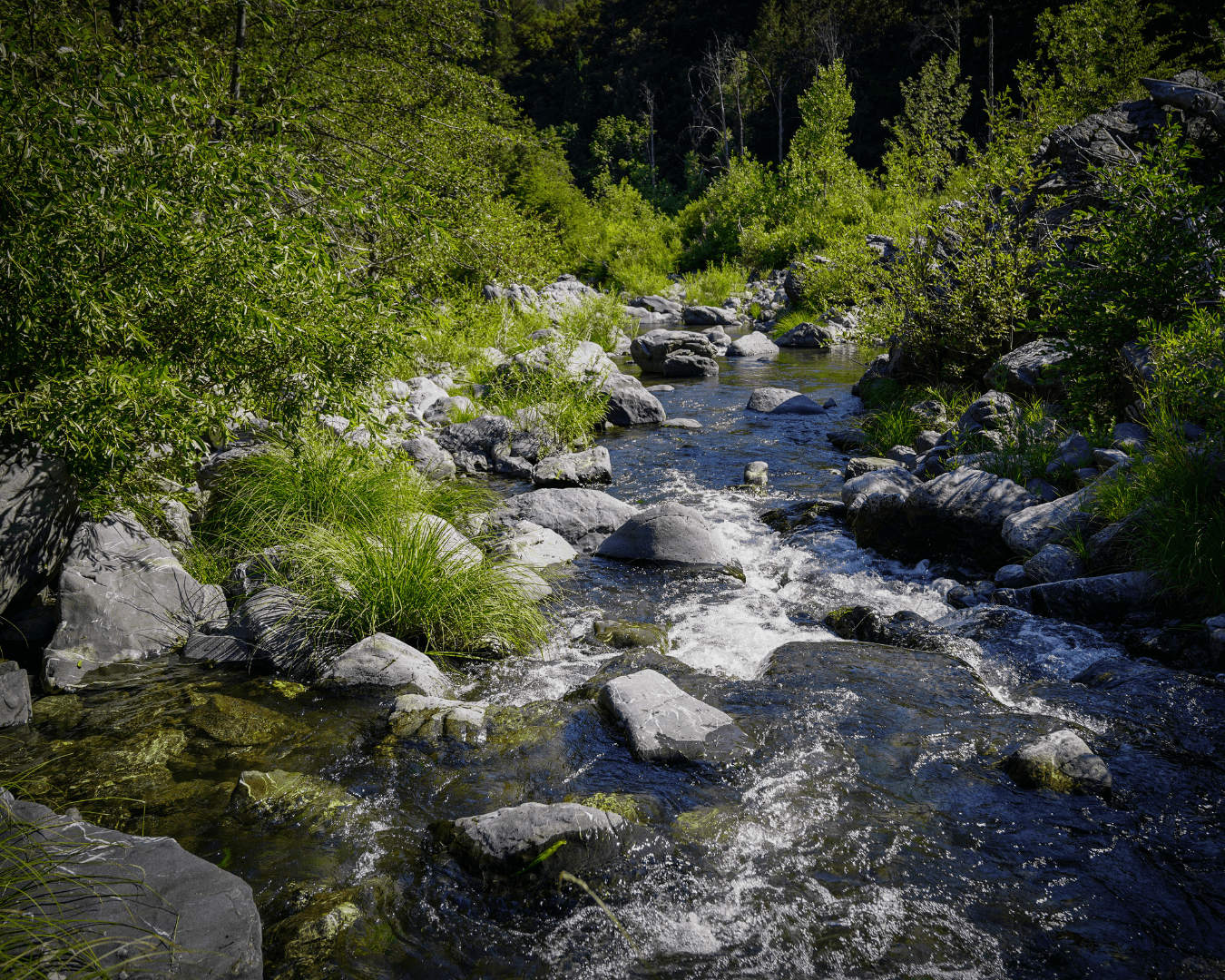 Rectangle Photo Blog Post (1080 x 1350 px) (1350 x 1080 px)