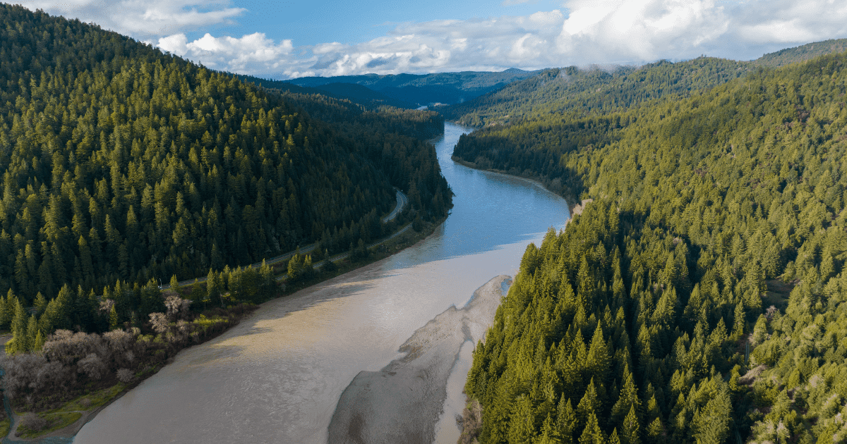 Blog Post Featured Photo (13)