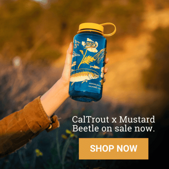 Pop up Square Centered (5)