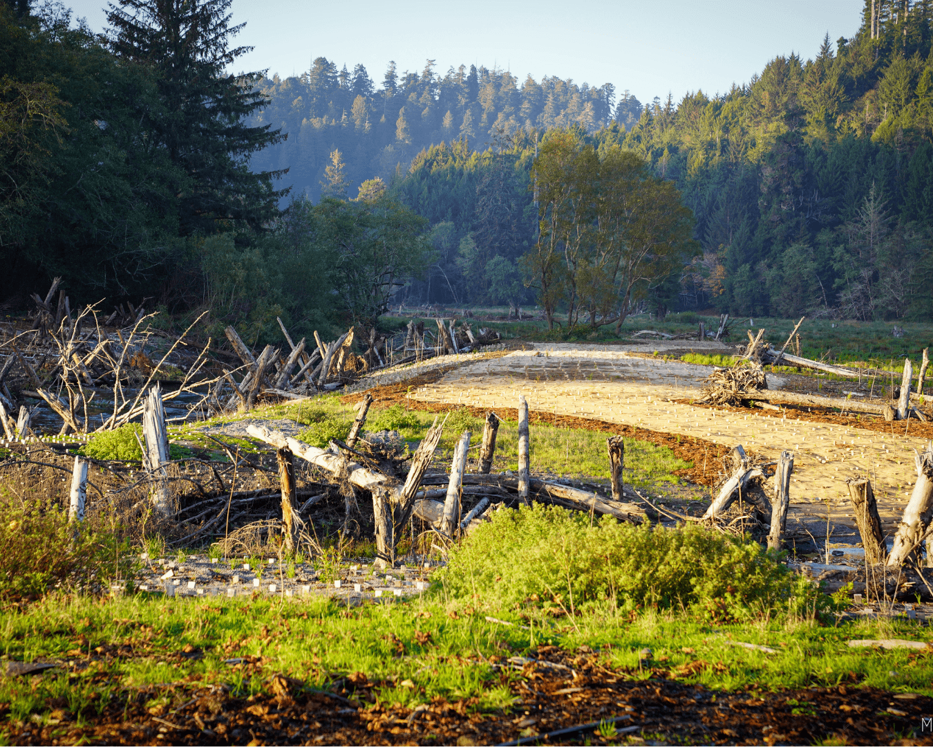 Rectangle Photo Blog Post (1080 x 1350 px) (1350 x 1080 px) (36)