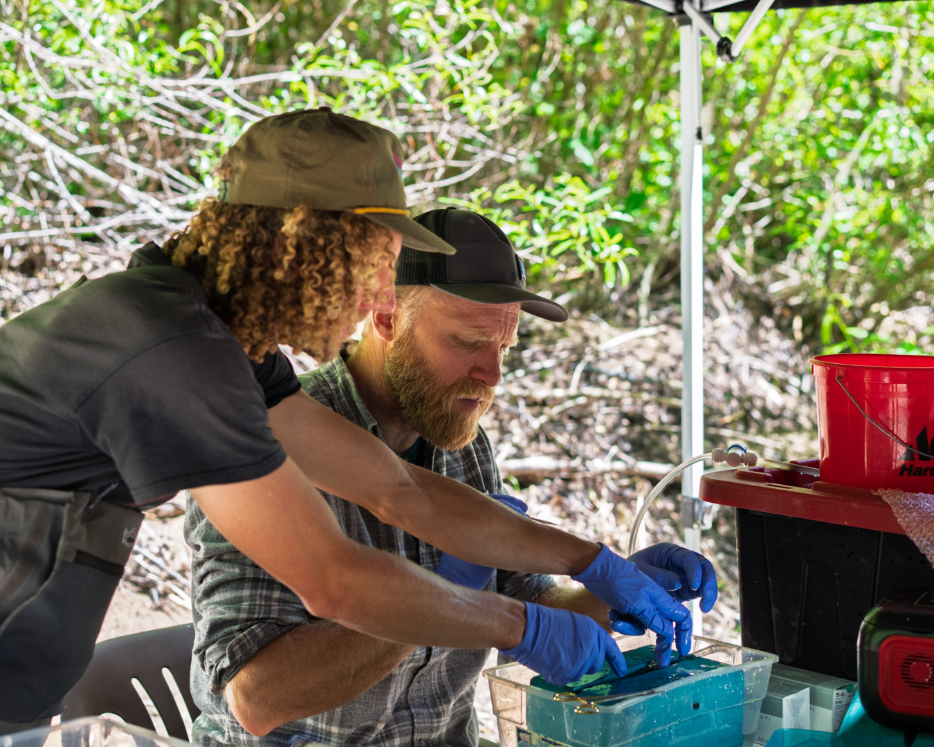 Rectangle Photo Blog Post (1080 x 1350 px) (1350 x 1080 px) (39)